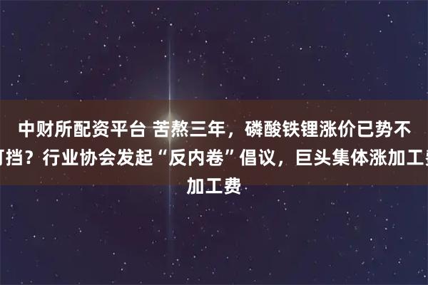 中财所配资平台 苦熬三年，磷酸铁锂涨价已势不可挡？行业协会发起“反内卷”倡议，巨头集体涨加工费