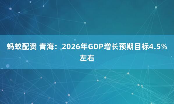 蚂蚁配资 青海：2026年GDP增长预期目标4.5%左右